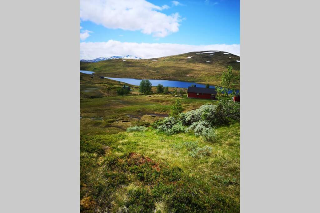 הוילה Casa Kleiv I Sogndalsdalen מראה חיצוני תמונה